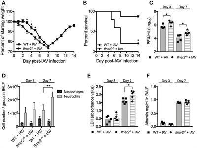 IFNAR2 Is Required for Anti-influenza Immunity and Alters Susceptibility to Post-influenza Bacterial Superinfections